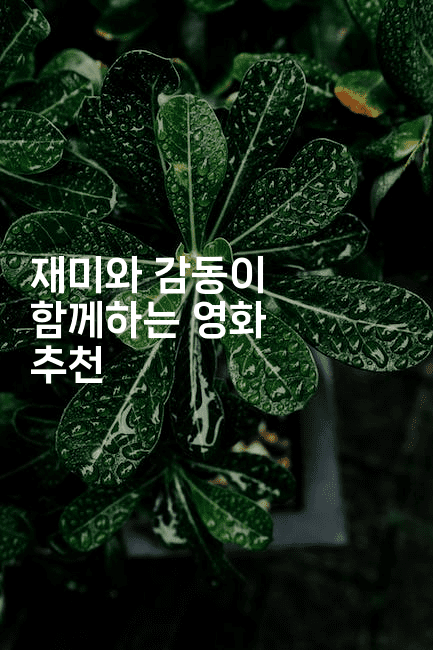 재미와 감동이 함께하는 영화 추천-oTT