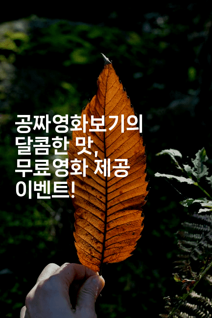 공짜영화보기의 달콤한 맛, 무료영화 제공 이벤트!2-oTT
