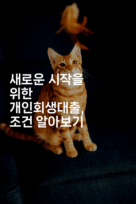 새로운 시작을 위한 개인회생대출, 조건 알아보기-oTT