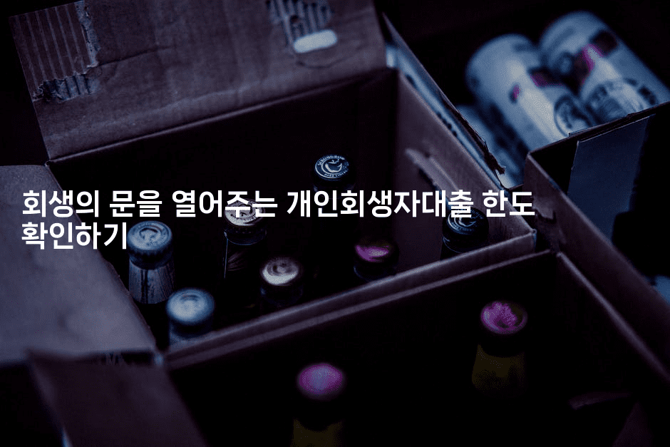 회생의 문을 열어주는 개인회생자대출 한도 확인하기-oTT