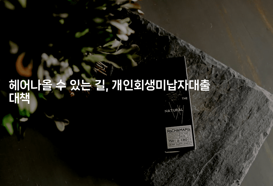 헤어나올 수 있는 길, 개인회생미납자대출 대책-oTT