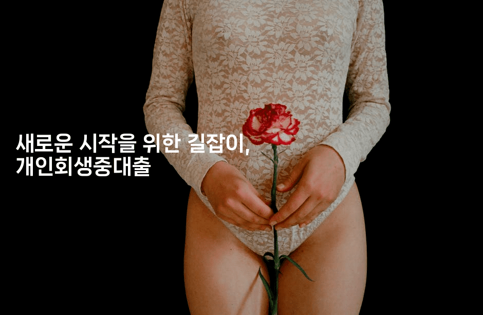 새로운 시작을 위한 길잡이, 개인회생중대출-oTT