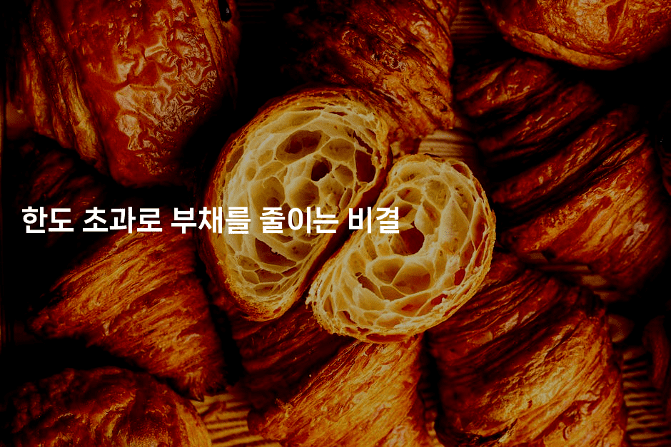 한도 초과로 부채를 줄이는 비결-oTT