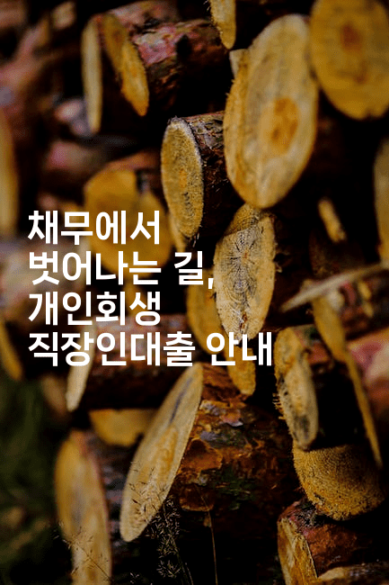 채무에서 벗어나는 길, 개인회생 직장인대출 안내-oTT