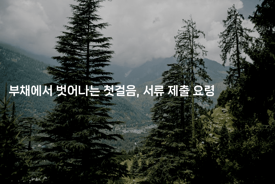 부채에서 벗어나는 첫걸음, 서류 제출 요령