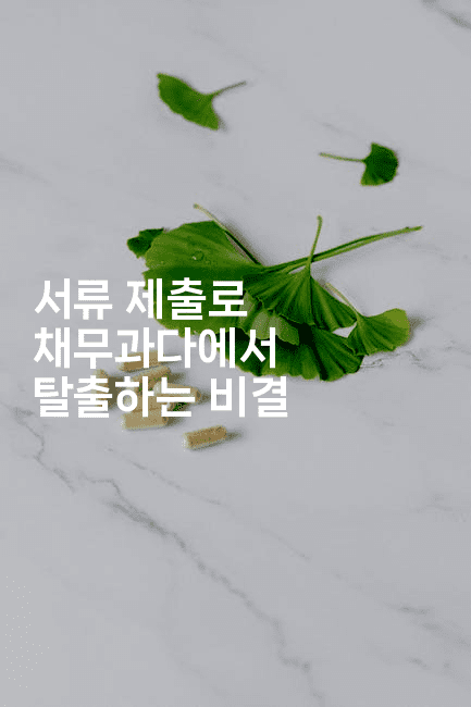 서류 제출로 채무과다에서 탈출하는 비결-oTT